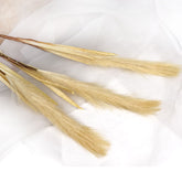 Artificial Brown Pampas Stem